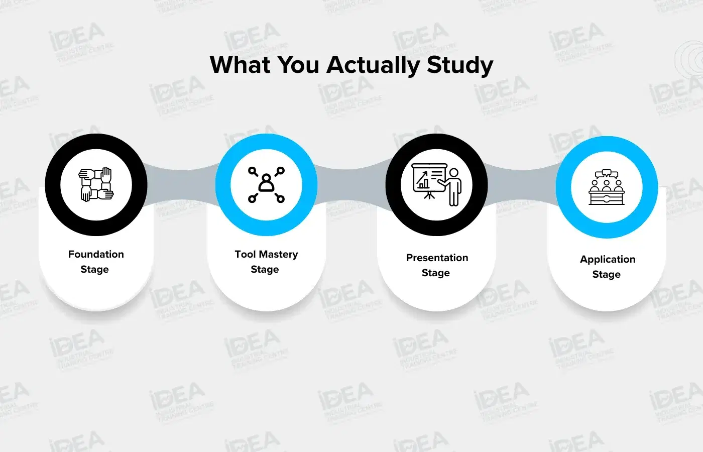 what you actully study.webp