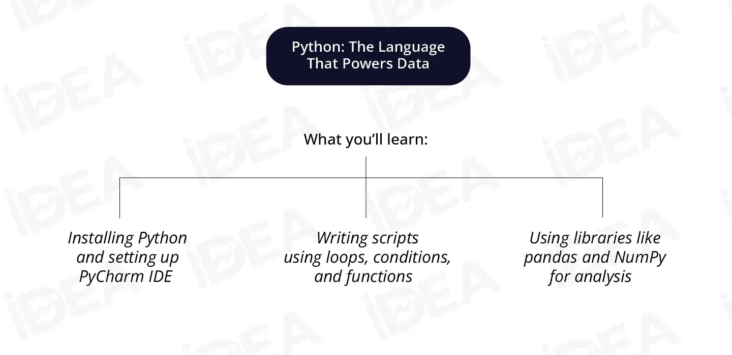 1. Python The Language That Powers Data (2) 1.webp