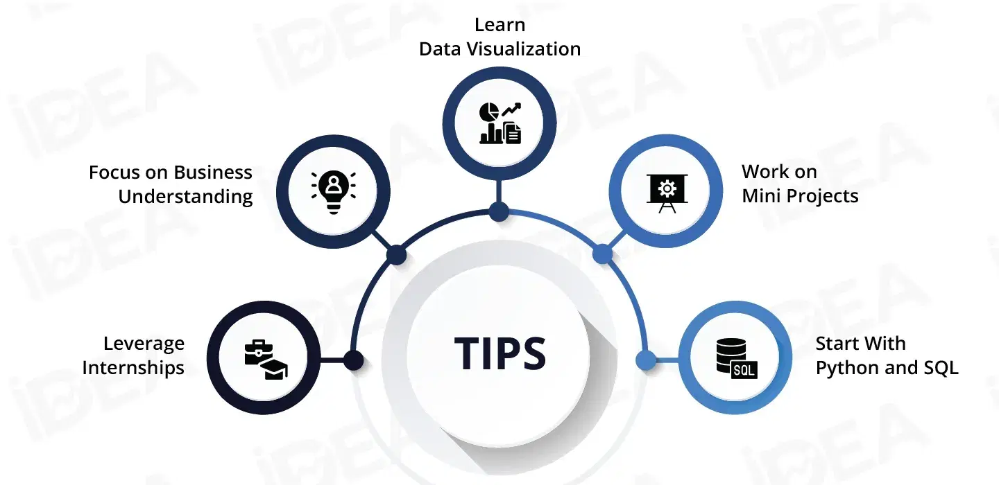 Tips, Tricks, and Strategies for Freshers.webp